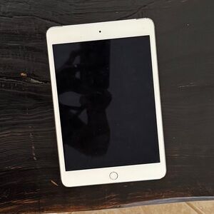 iPad mini 4 - 256 GB with cellular data
